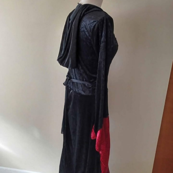 Dark Sorceress Velvet Women Costume One Size Adult - Picture 3 of 7